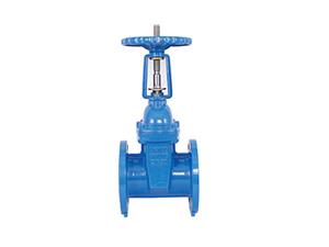 Rising-stem Resilient Seat Gate Valve-Z41X-RVC(H)X-10-16
