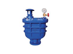 Compound Exhaust Valve