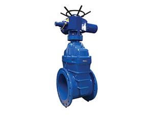 Electric Gate Valves -Z941X