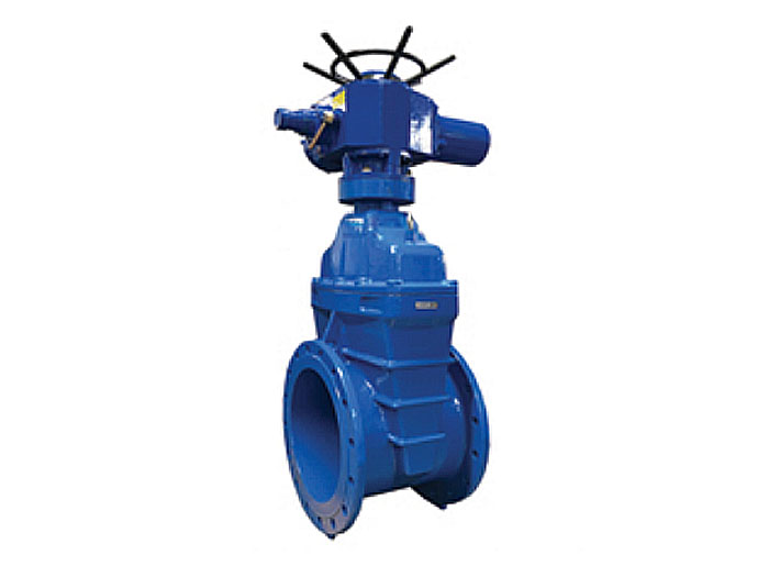 Electric Gate Valves -Z941X
