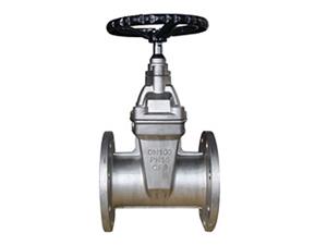 Stainless Steel Soft Seal Gate Valve