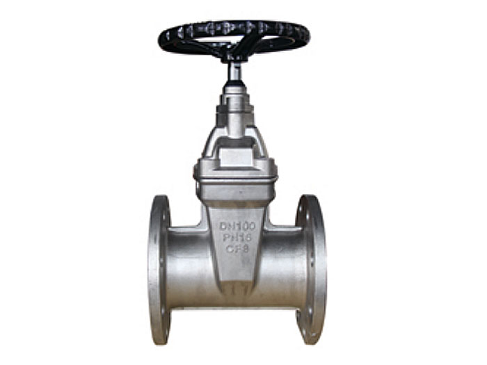 Stainless Steel Soft Seal Gate Valve