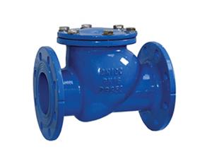 Swing check valve