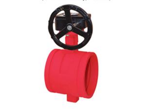 Grooved Turbine Butterfly Valve D381X-16