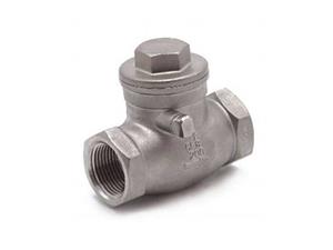 Swing Check Valve