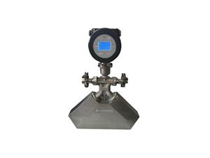 FLH series mass flow meter