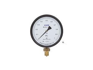 Precision pressure gauge