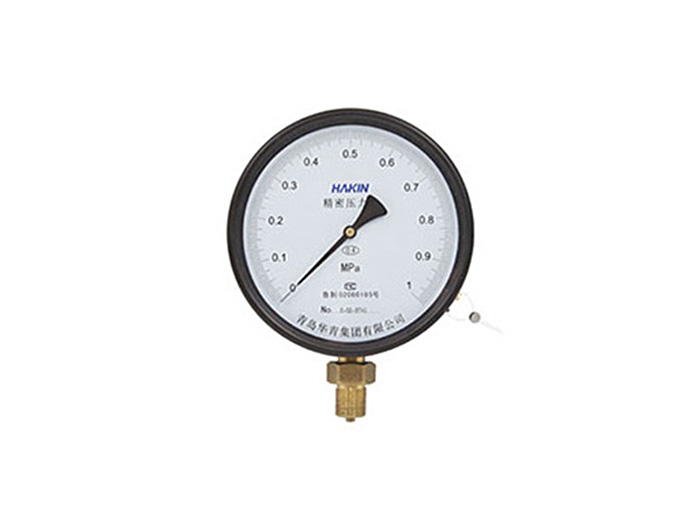 Precision pressure gauge