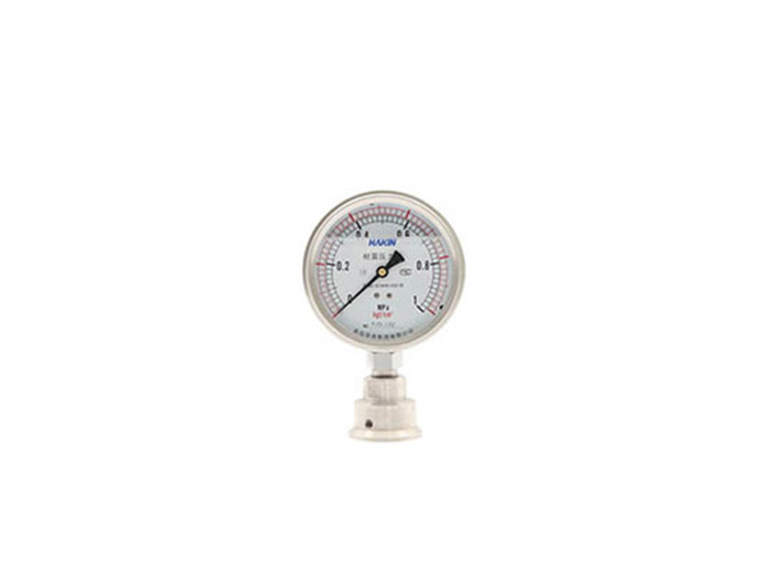 Diaphragm shock resistant pressure gauge