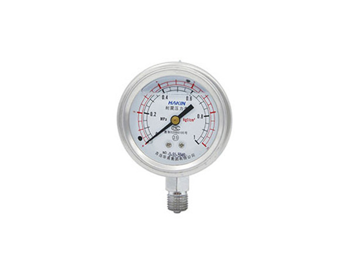 Shock resistant pressure gauge