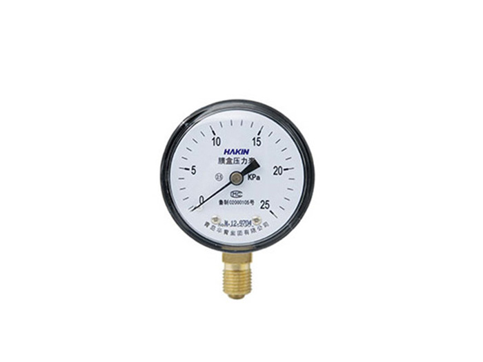 Capsule pressure gauge